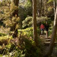 Immerse yourself in the beauty on the Grand Cliff Top Walk | Jannice Banks