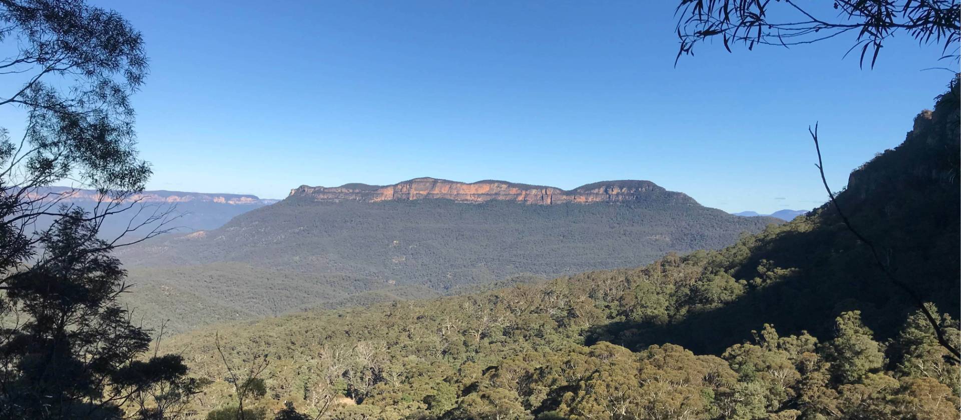 The ever present Mount Solitary viewed across the Jamison Valley | Andy Mein