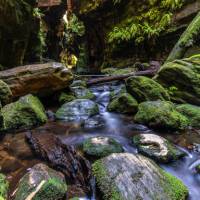 Rocky Creek is a serene and otherworldly canyon | Albert Hakvoort Photography