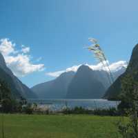 Milford Sound magic