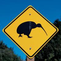 Kiwi road sign | Jocelyn Carlin