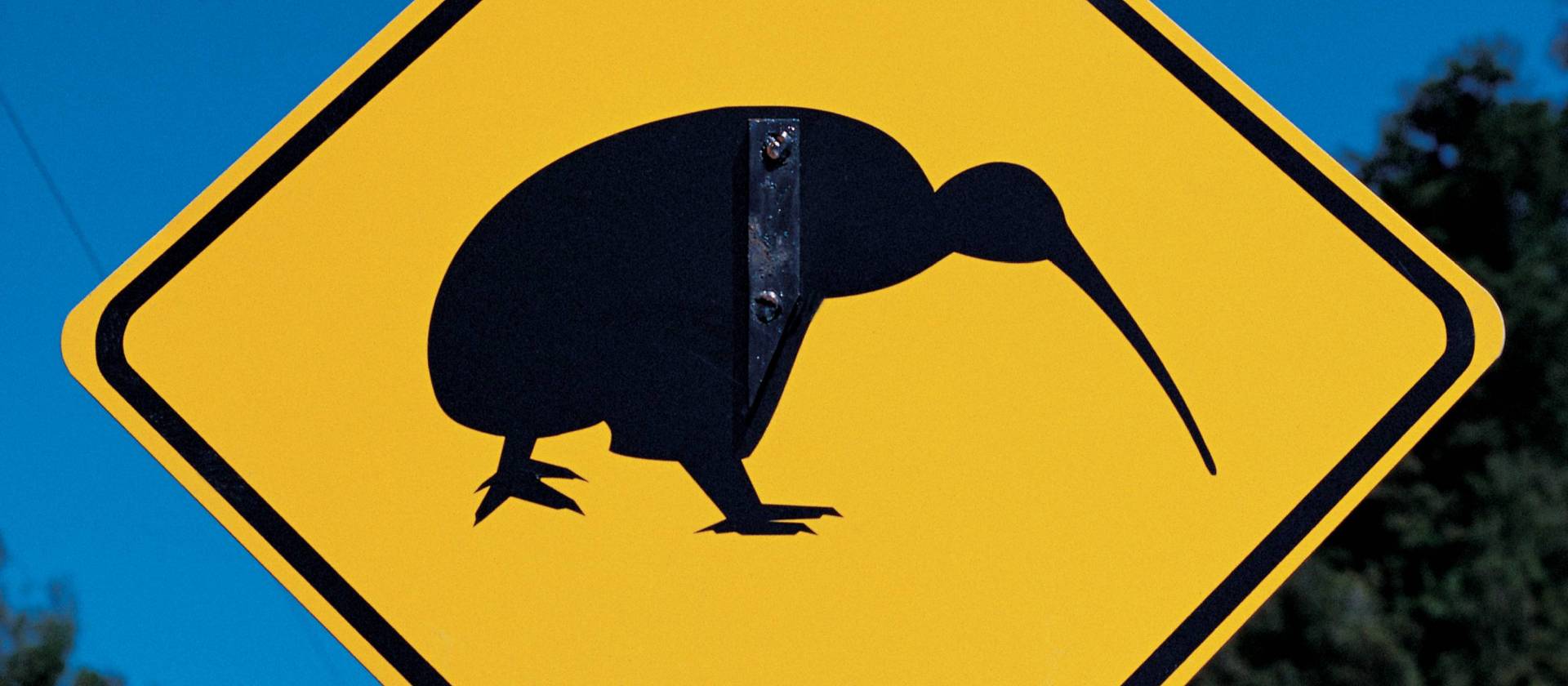 Kiwi road sign | Jocelyn Carlin