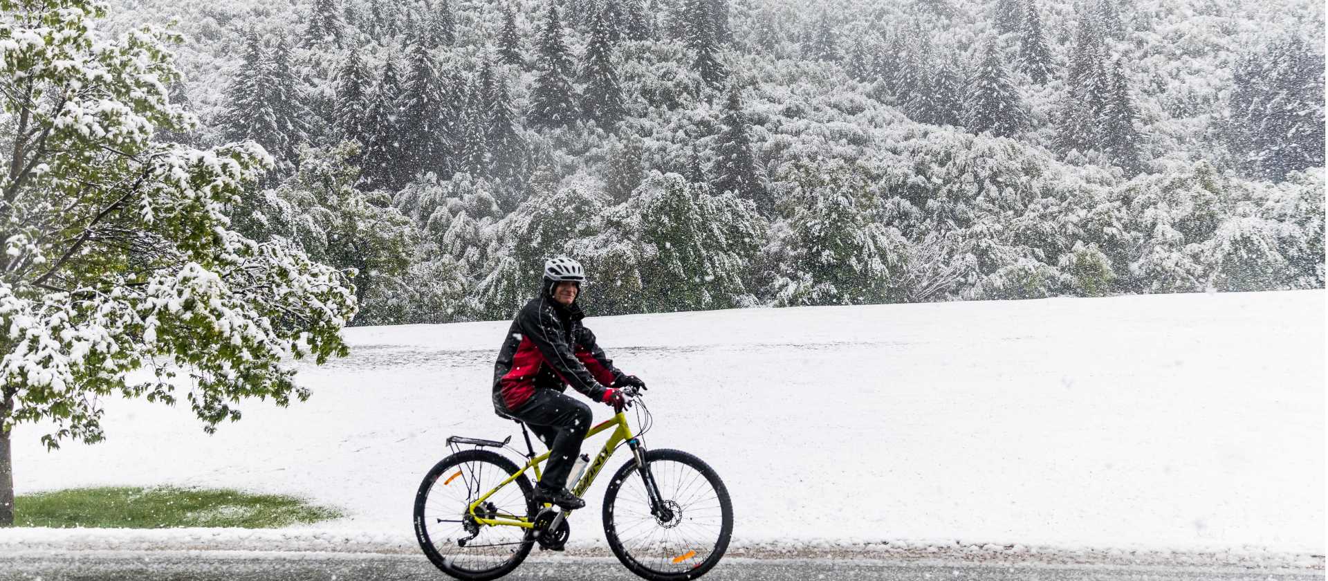 Just a little bit of snow on the trails! | Lachlan Gardiner
