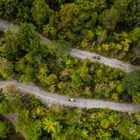 Cycling through the West Coast wetlands in New Zealand | Lachlan Gardiner