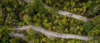 Cycling through the West Coast wetlands in New Zealand | Lachlan Gardiner