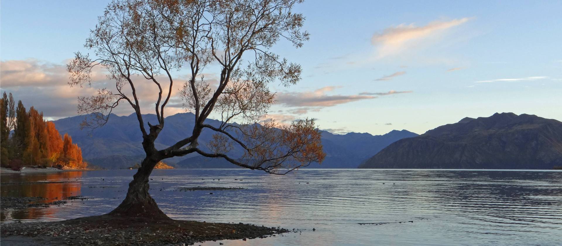 Lake Wanaka at sunrise | Tim de Jong