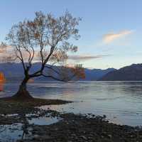 Lake Wanaka at sunrise | Tim de Jong