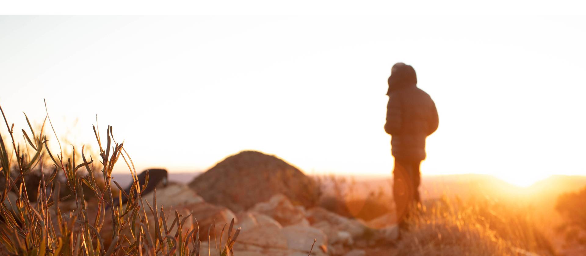 Sunrise walk on Mt Sonder | #cathyfinchphotography