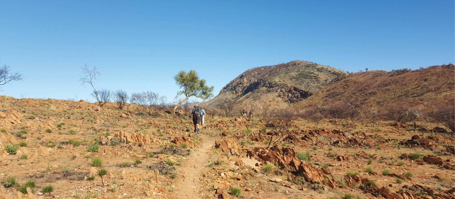 Rocky trail views trekking through Larapinta | Linda Murden