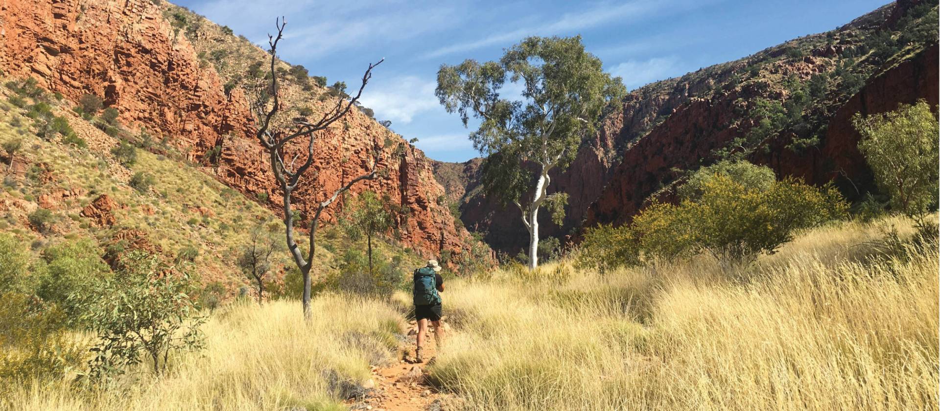 Walking towards Ormiston Gorge | Ayla Rowe