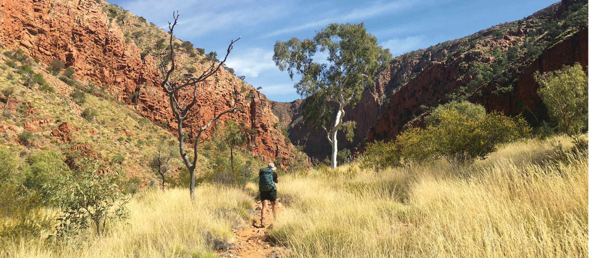 Walking towards Ormiston Gorge | Ayla Rowe