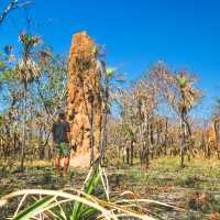 Nature's sky scrapers | Tourism NT/Dan Moore