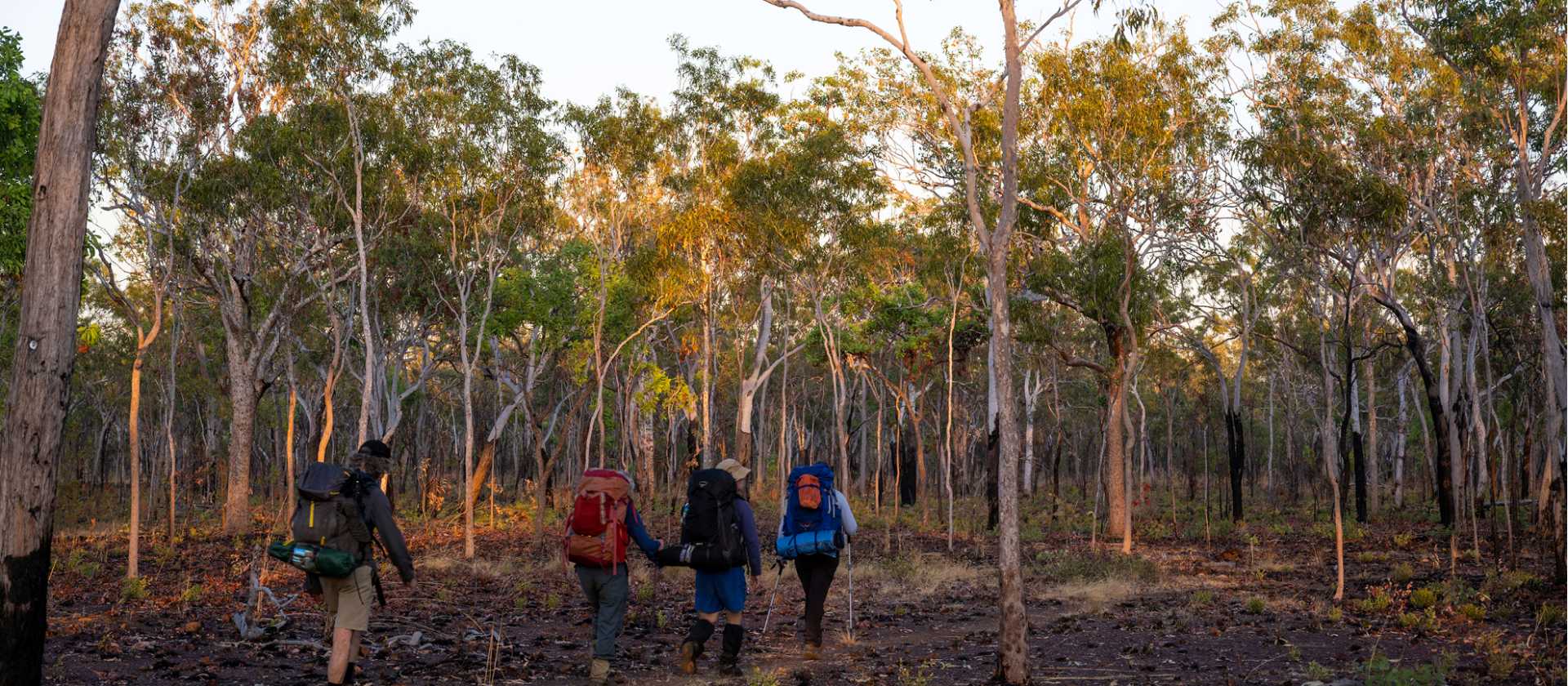 The Jatbula Trail will take you through a variety of different landscapes | Oliver Risi