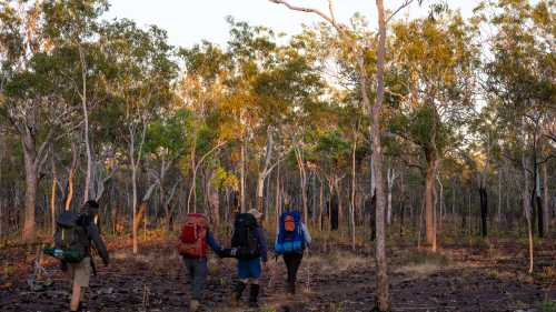 The Jatbula Trail will take you through a variety of different landscapes | Oliver Risi