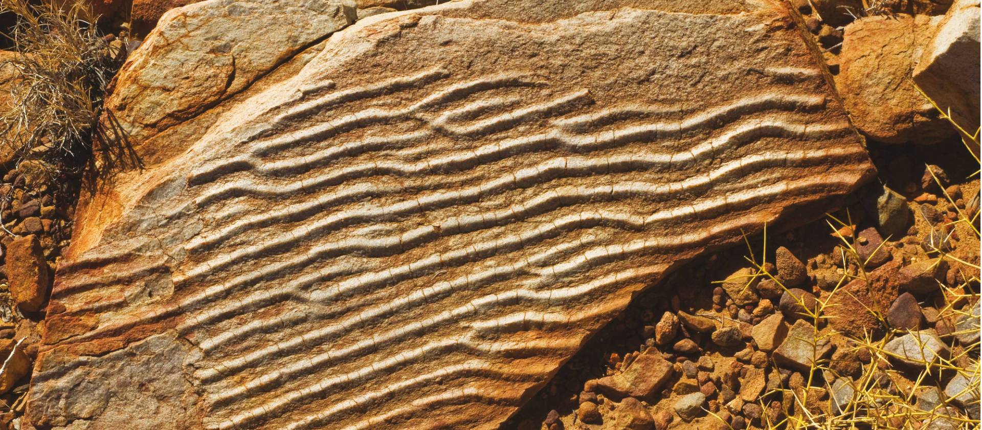 The Larapinta Trail offers plenty to the budding geologist | Peter Walton