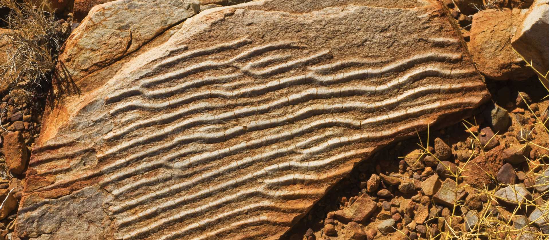 The Larapinta Trail offers plenty to the budding geologist | Peter Walton
