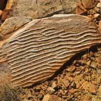 The Larapinta Trail offers plenty to the budding geologist | Peter Walton