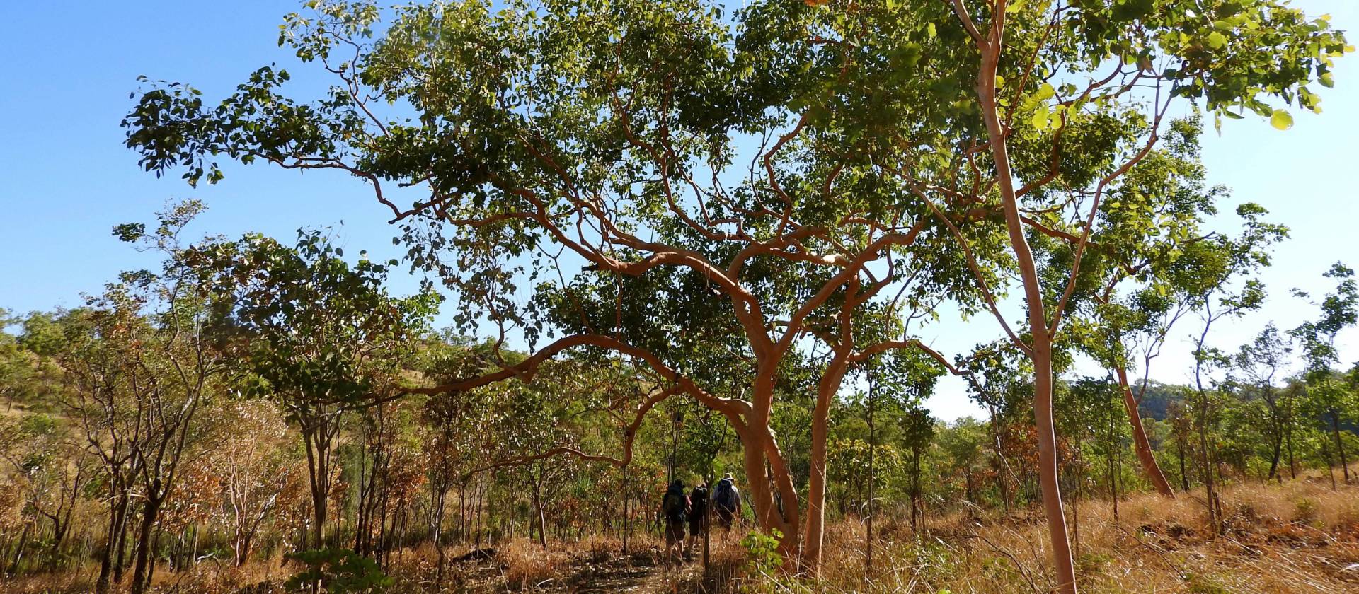 Remote trekking along the Jatbula Trail | Holly Van De Beek