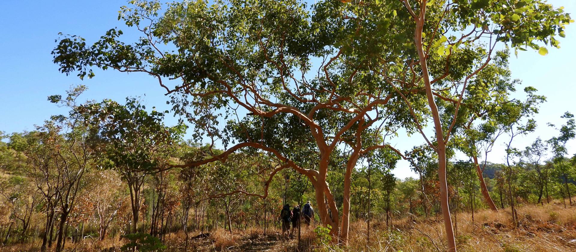 Remote trekking along the Jatbula Trail | Holly Van De Beek