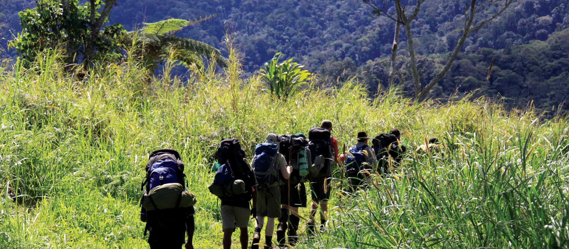 Trekking through the verdant scenery of Papua New Guinea | Ken Harris