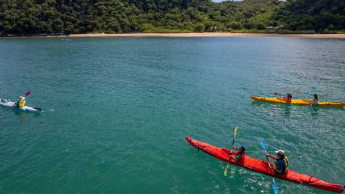 Kayaking the idyllic waters of Magnetic Island | Tourism and Events Queensland