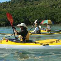 The waters off Hinchinbrook Island provide a perfect sea kayaking experience | Steve Trudgeon