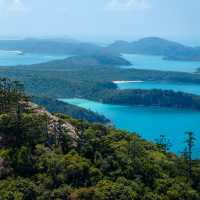 The Ngaro Track, Whitsunday Islands | Matt Horspool