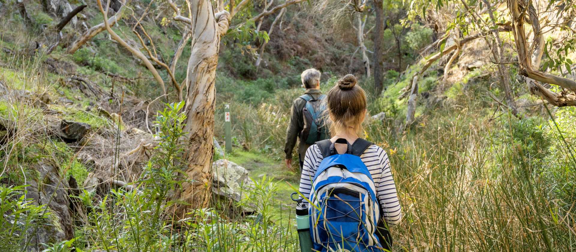 Wild South Coast Way | Heidi Lewis