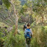 Wild South Coast Way | Heidi Lewis