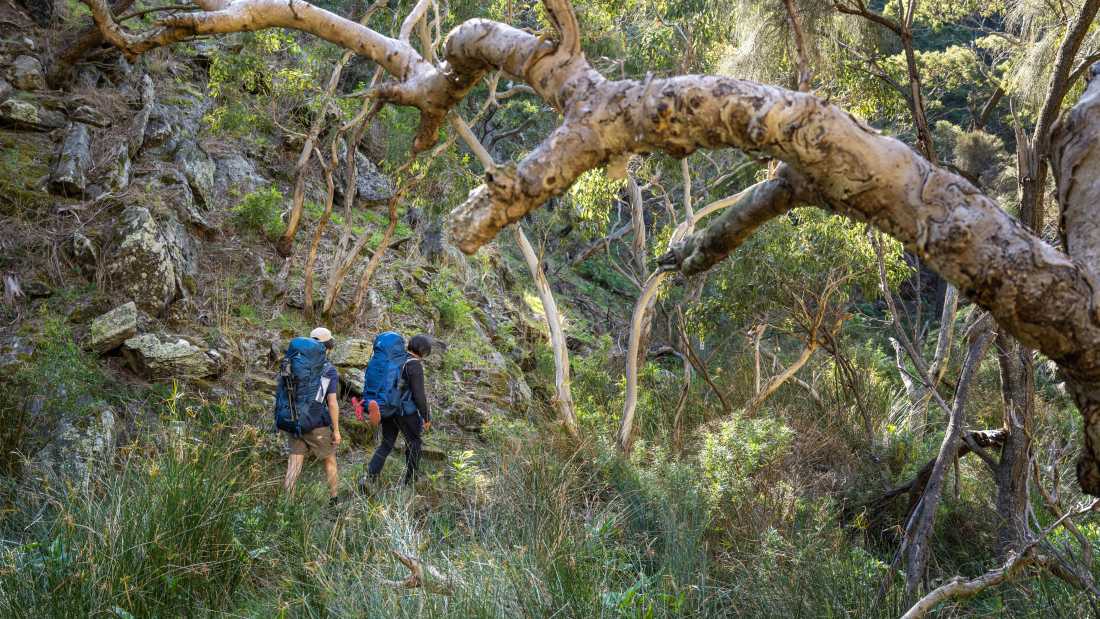 Wild South Coast Way |  Heidi Lewis