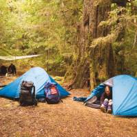 Wilderness camping in the Tarkine rainforest | Peter Walton