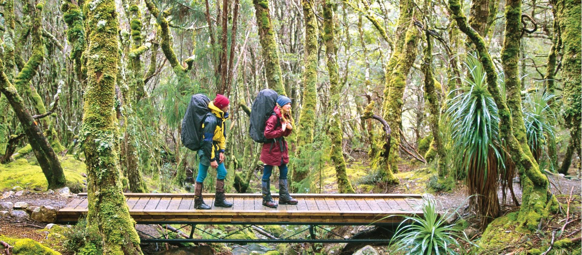 Walking in Cradle Mountain Lake St Clair National Park | Don Fuchs