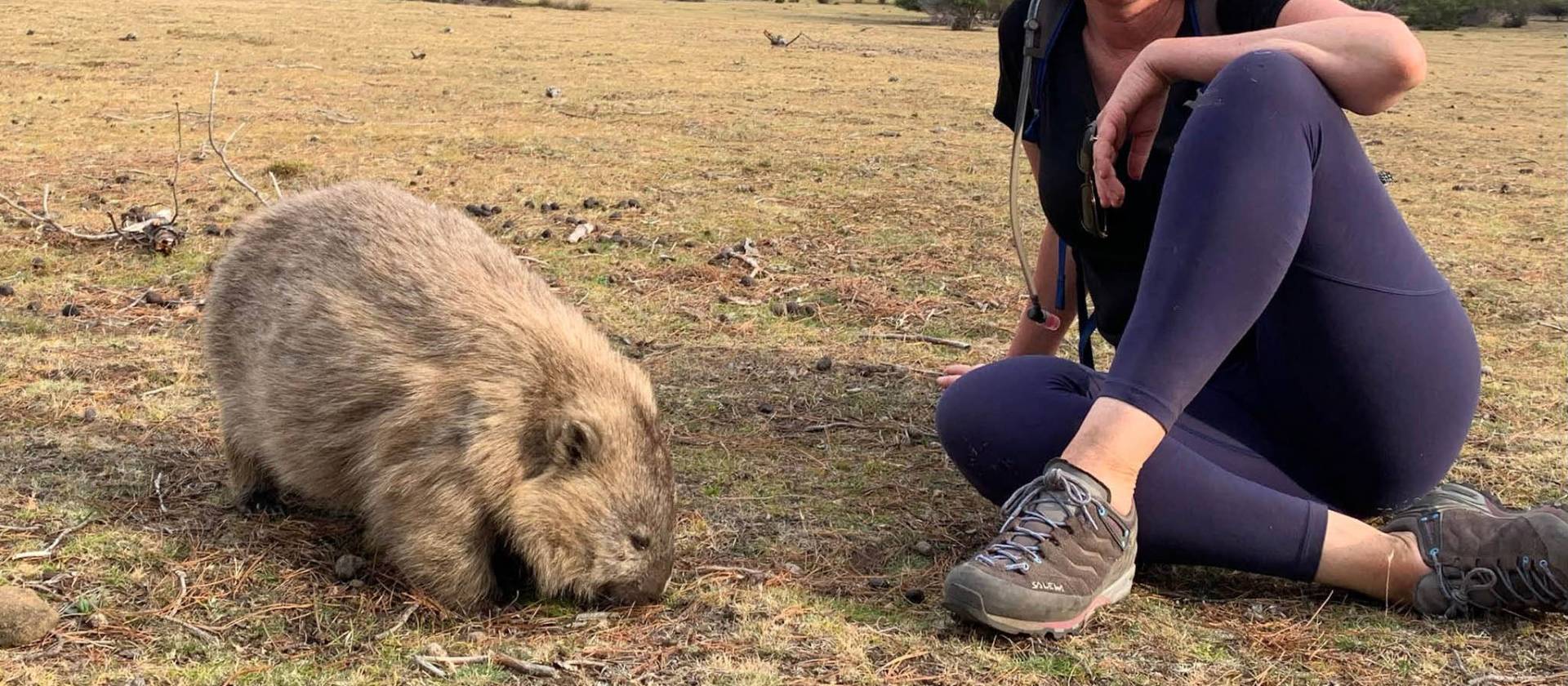 Getting up close to the natives on Maria Island | Toni Wythes