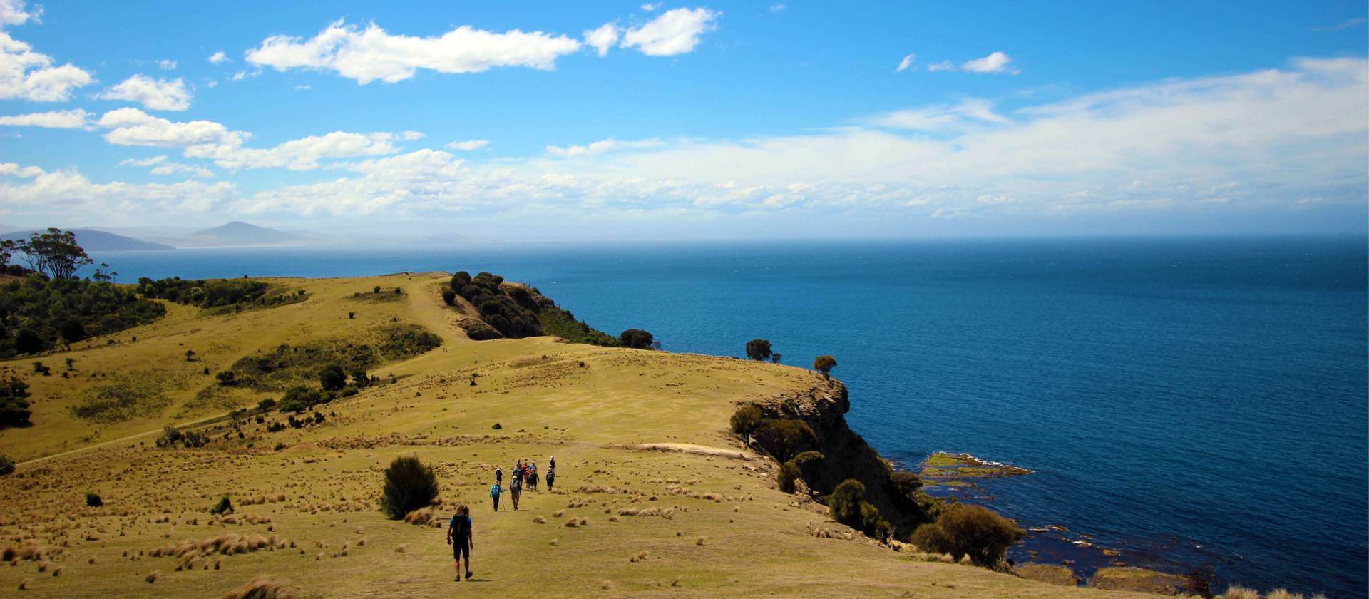 Explore Tasmania's Maria Island by foot | Oscar Bedford