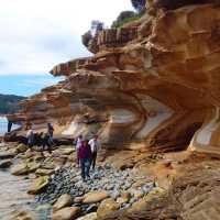 Explore Tasmania's Maria Island by foot | Oscar Bedford