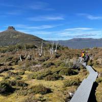 Enjoy the many side walks along the Overland Track, Pellion East in the distance | Brad Atwal