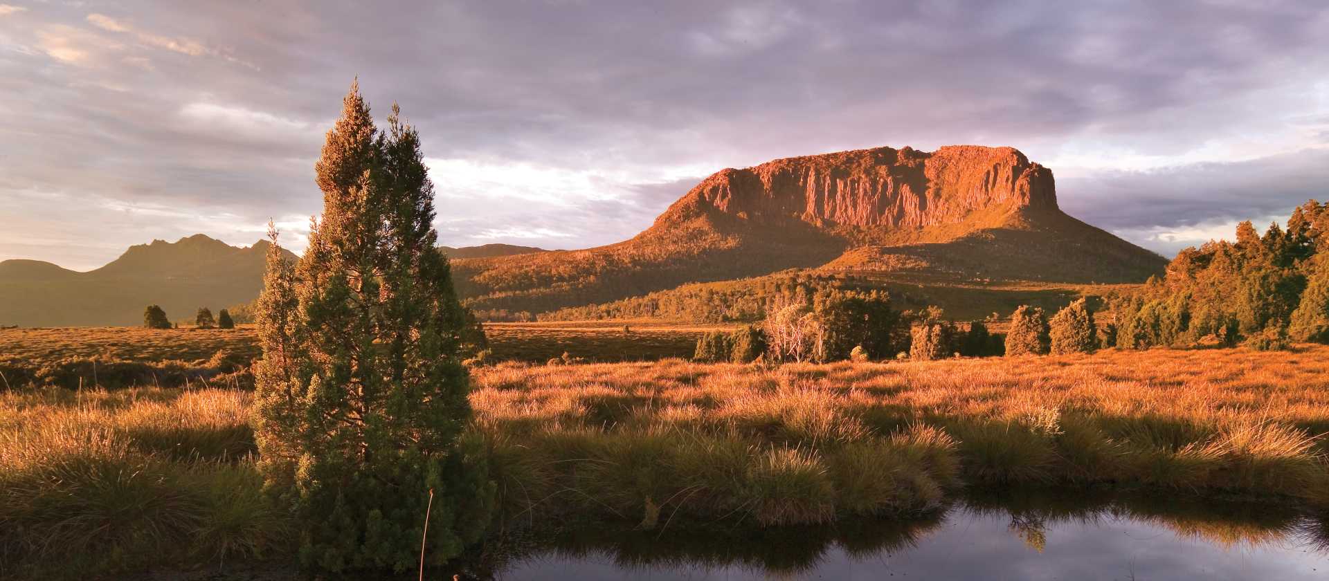 Mount Pellion West, Overland Track | Peter Walton