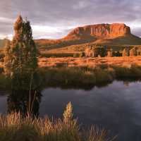 Mount Pellion West, Overland Track | Peter Walton
