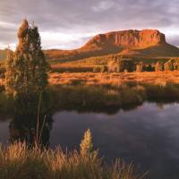 Mount Pellion West, Overland Track | Peter Walton