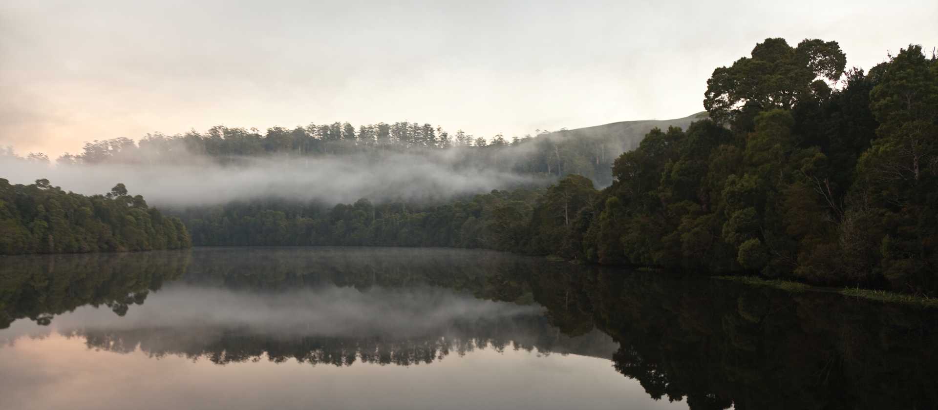 The Pieman River flows through the heart of the Tarkine | Peter Walton
