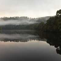 The Pieman River flows through the heart of the Tarkine | Peter Walton
