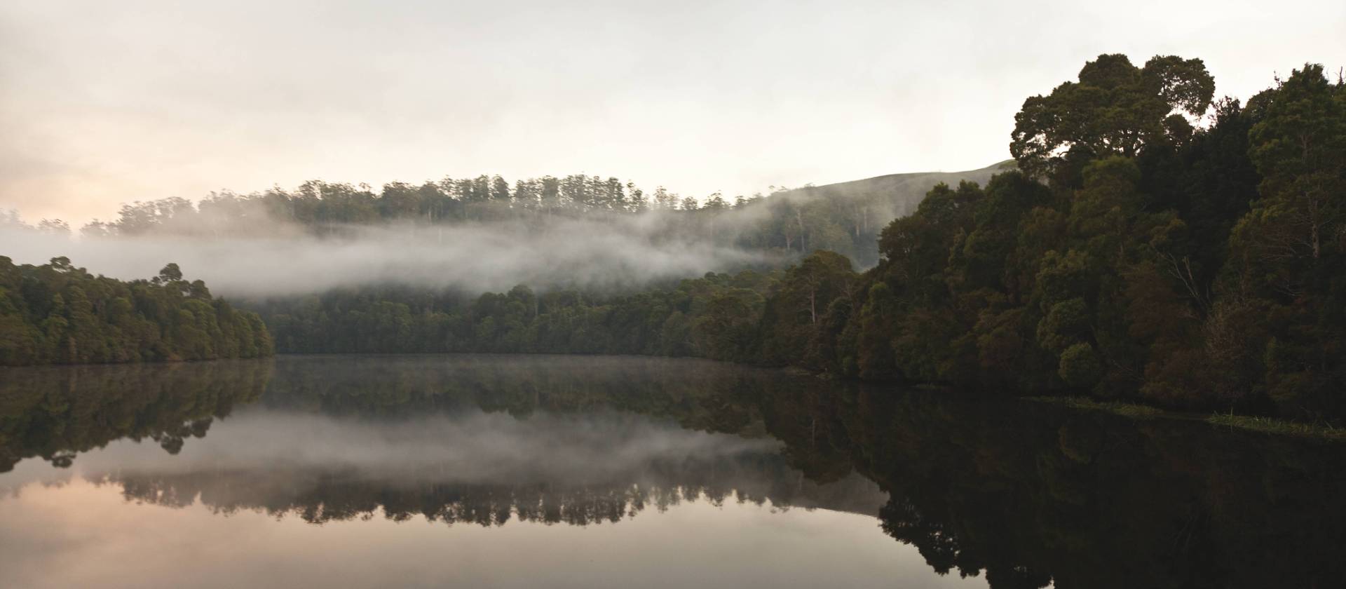 The Pieman River flows through the heart of the Tarkine | Peter Walton