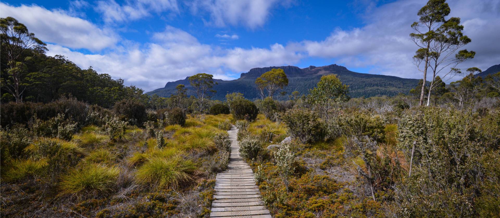 The Overland Track, Tasmania's most famous walk | Mark Whitelock