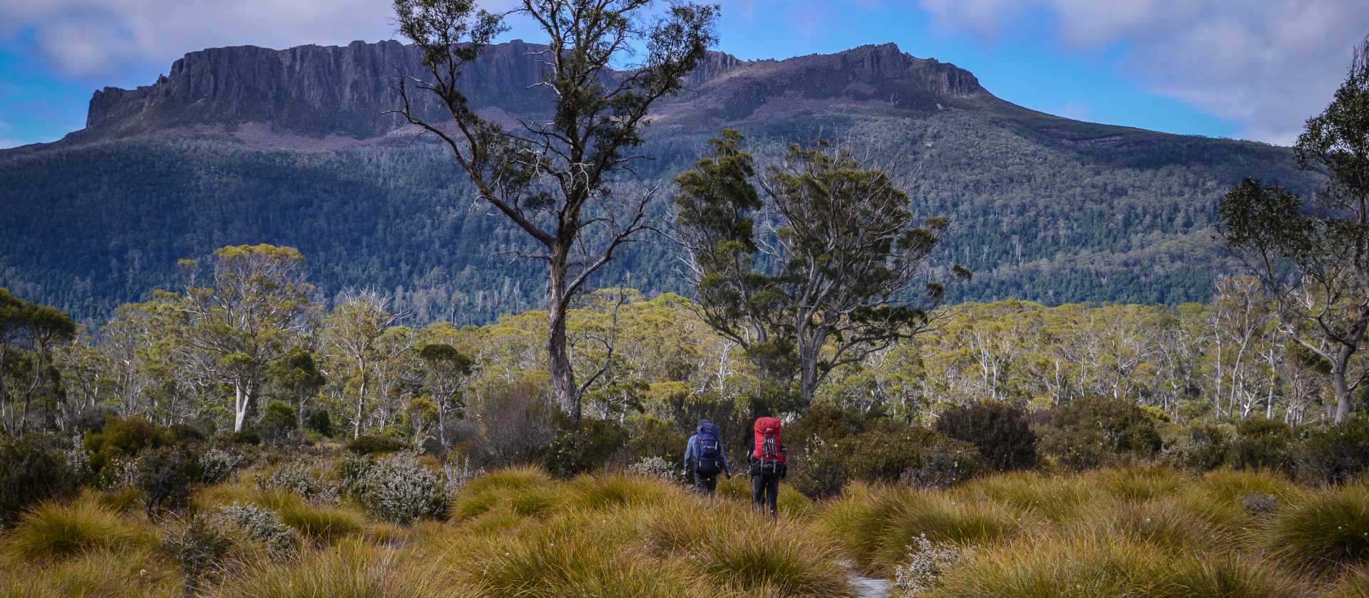 Trekking the spectacular Overland Track
 | Mark Whitelock