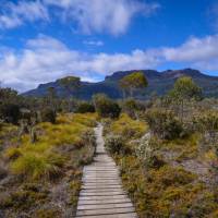 The Overland Track, Tasmania's most famous walk | Mark Whitelock