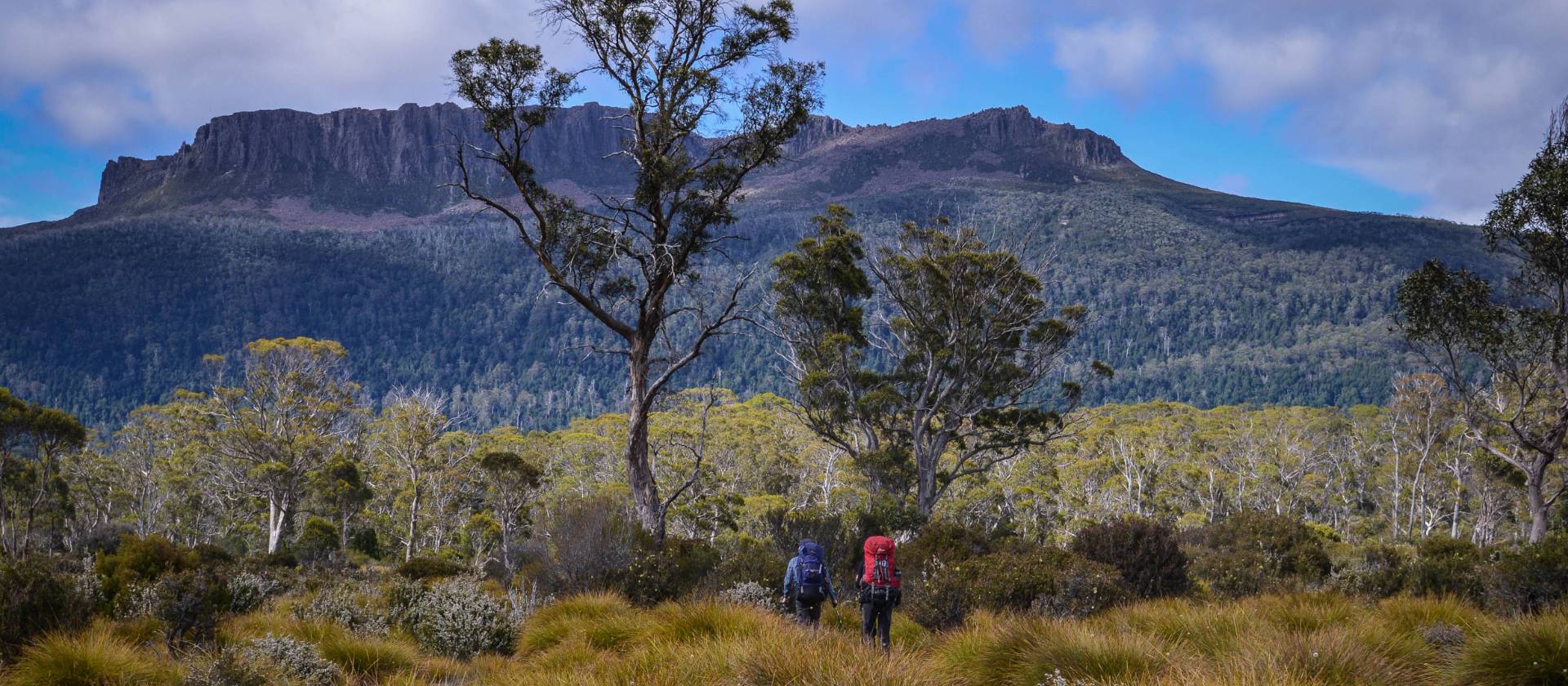 Trekking the spectacular Overland Track
 | Mark Whitelock