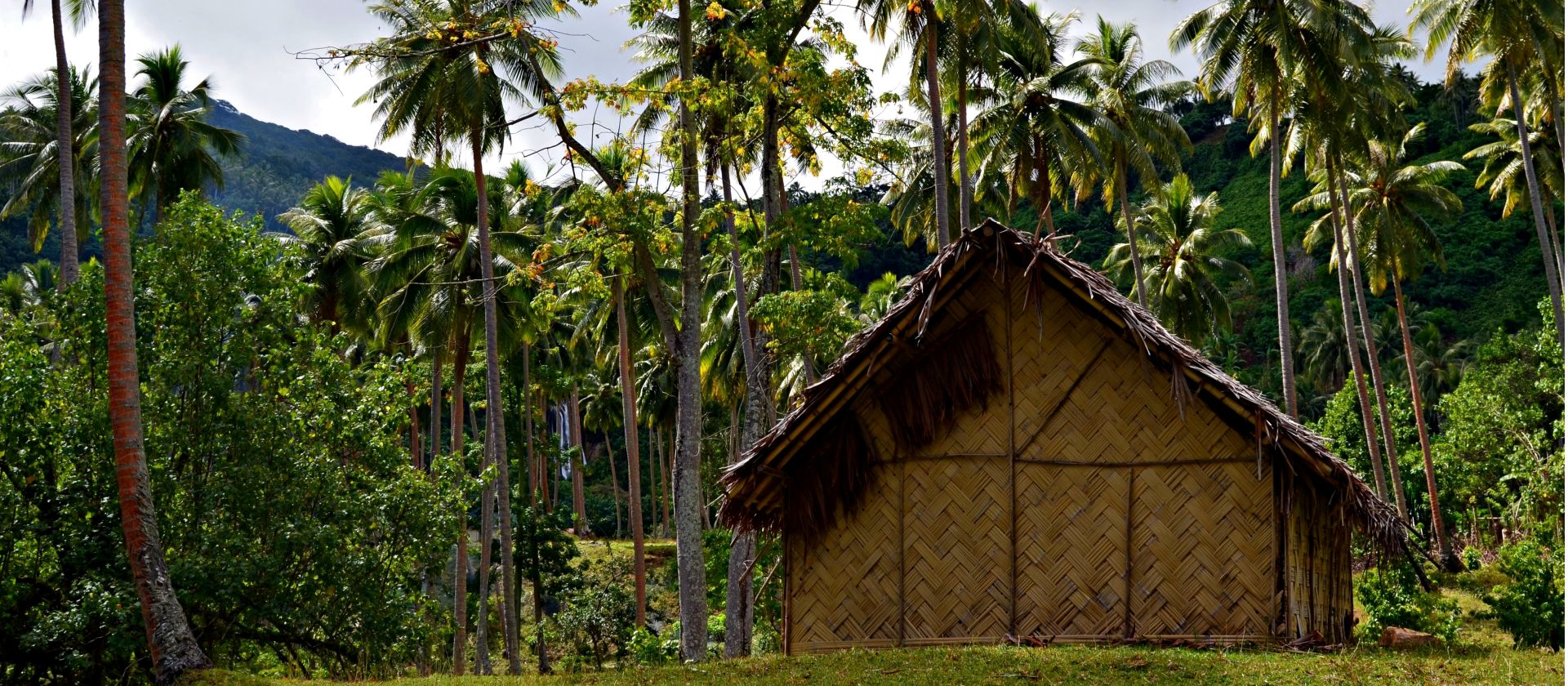 A traditional thatched dwelling in Vanuatu | Nina Janesikova