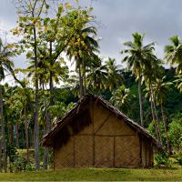 A traditional thatched dwelling in Vanuatu | Nina Janesikova
