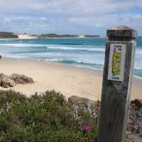 Stunning views and scenery along the Cape to Cape trek