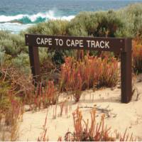 The rugged coastal landscape on our Cape to Cape Trek | Paula Wade